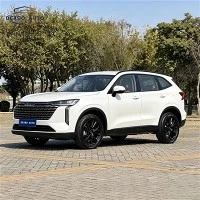 Naudotas Haval H6